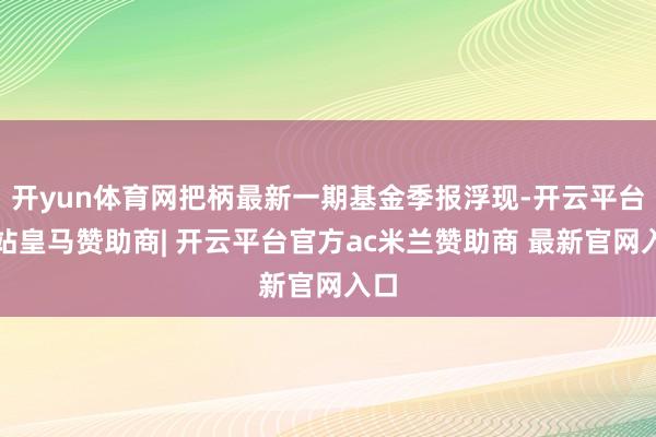 开yun体育网把柄最新一期基金季报浮现-开云平台网站皇马赞助商| 开云平台官方ac米兰赞助商 最新官网入口