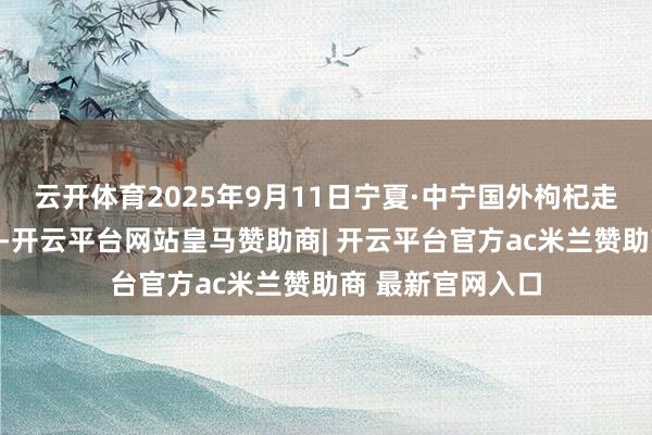 云开体育2025年9月11日宁夏·中宁国外枸杞走动中心价钱行情-开云平台网站皇马赞助商| 开云平台官方ac米兰赞助商 最新官网入口